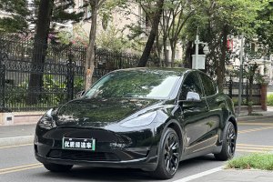 Model Y 特斯拉 长续航焕新版 双电机全轮驱动