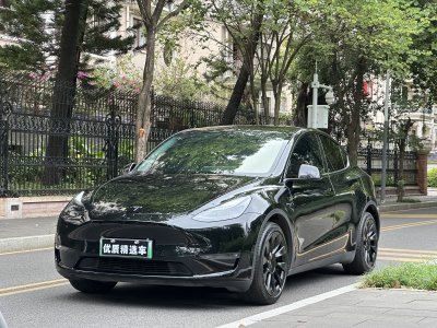 2023年4月 特斯拉 Model Y 長續(xù)航煥新版 雙電機全輪驅(qū)動圖片