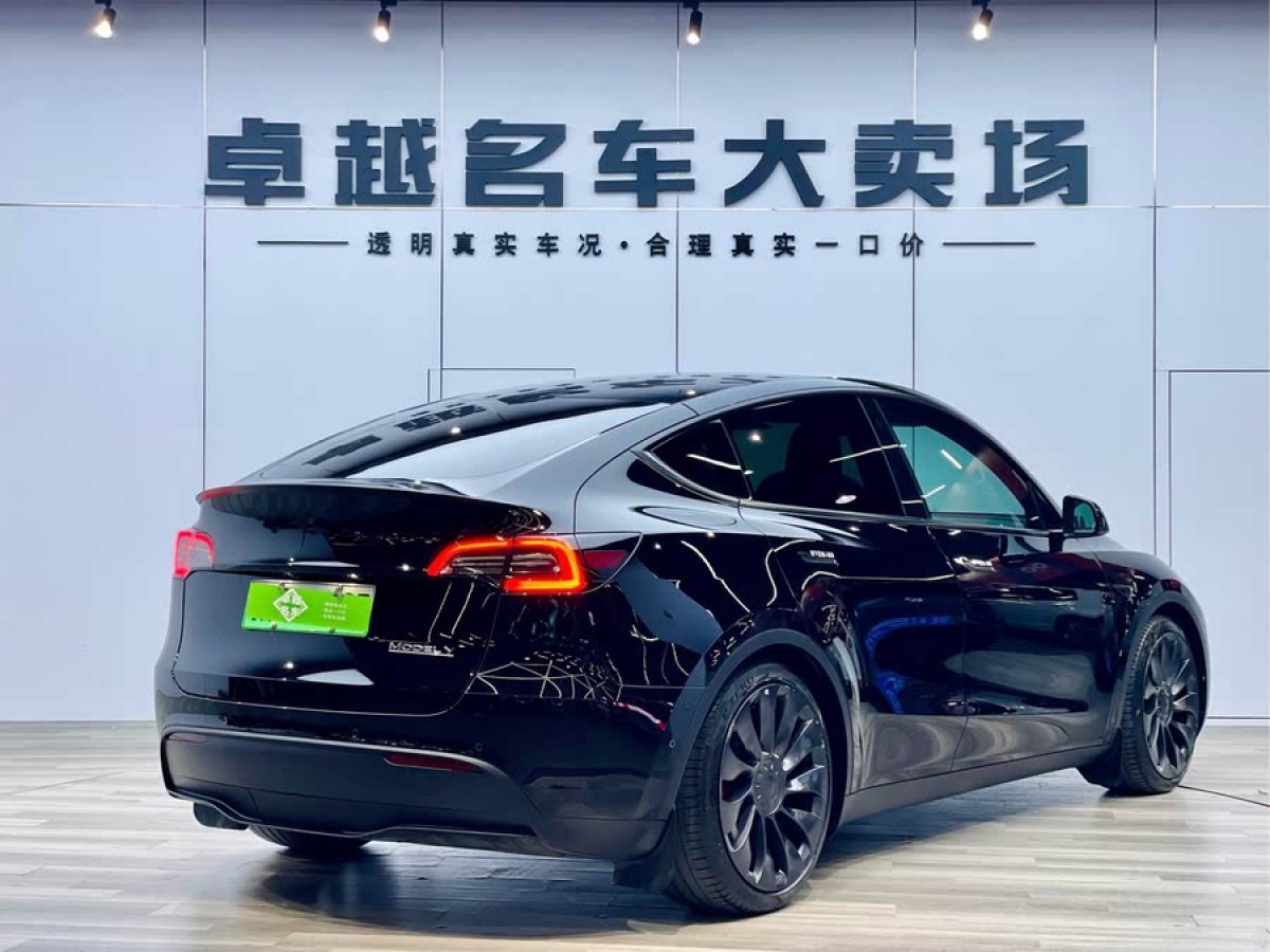 特斯拉 Model Y  2022款 Performance高性能全輪驅(qū)動(dòng)版圖片