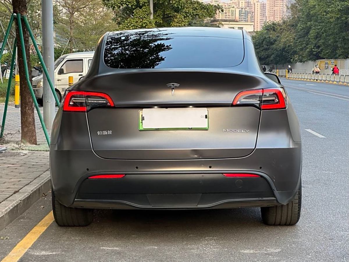 特斯拉 Model Y  2021款 改款 長續(xù)航全輪驅(qū)動版圖片