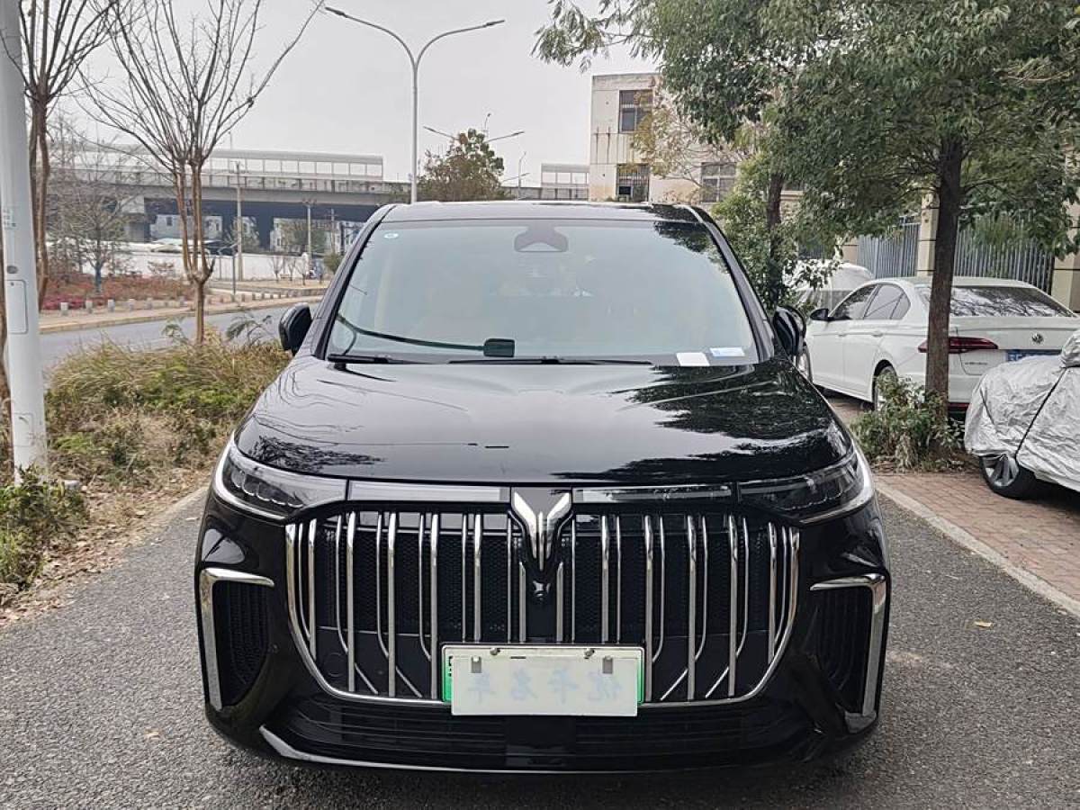 嵐圖 夢想家  2024款 PHEV 超長續(xù)航尊貴版圖片