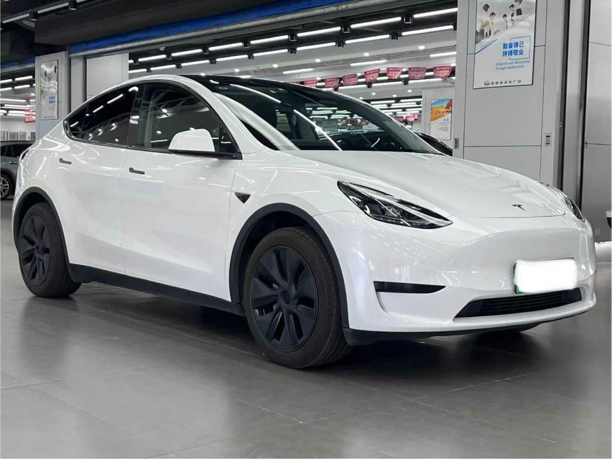 特斯拉 Model Y  2024款 Performance高性能版圖片