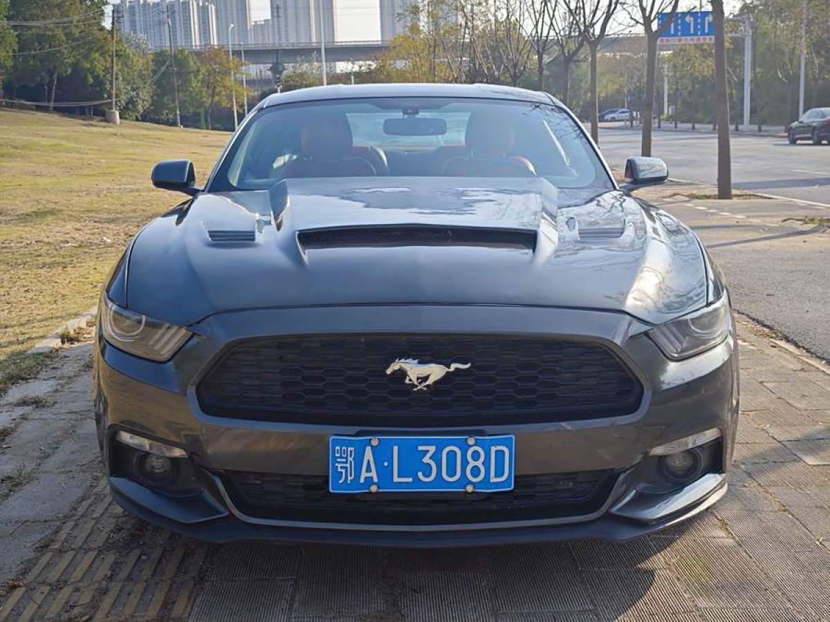 福特 Mustang  2015款 2.3T 50周年紀(jì)念版圖片