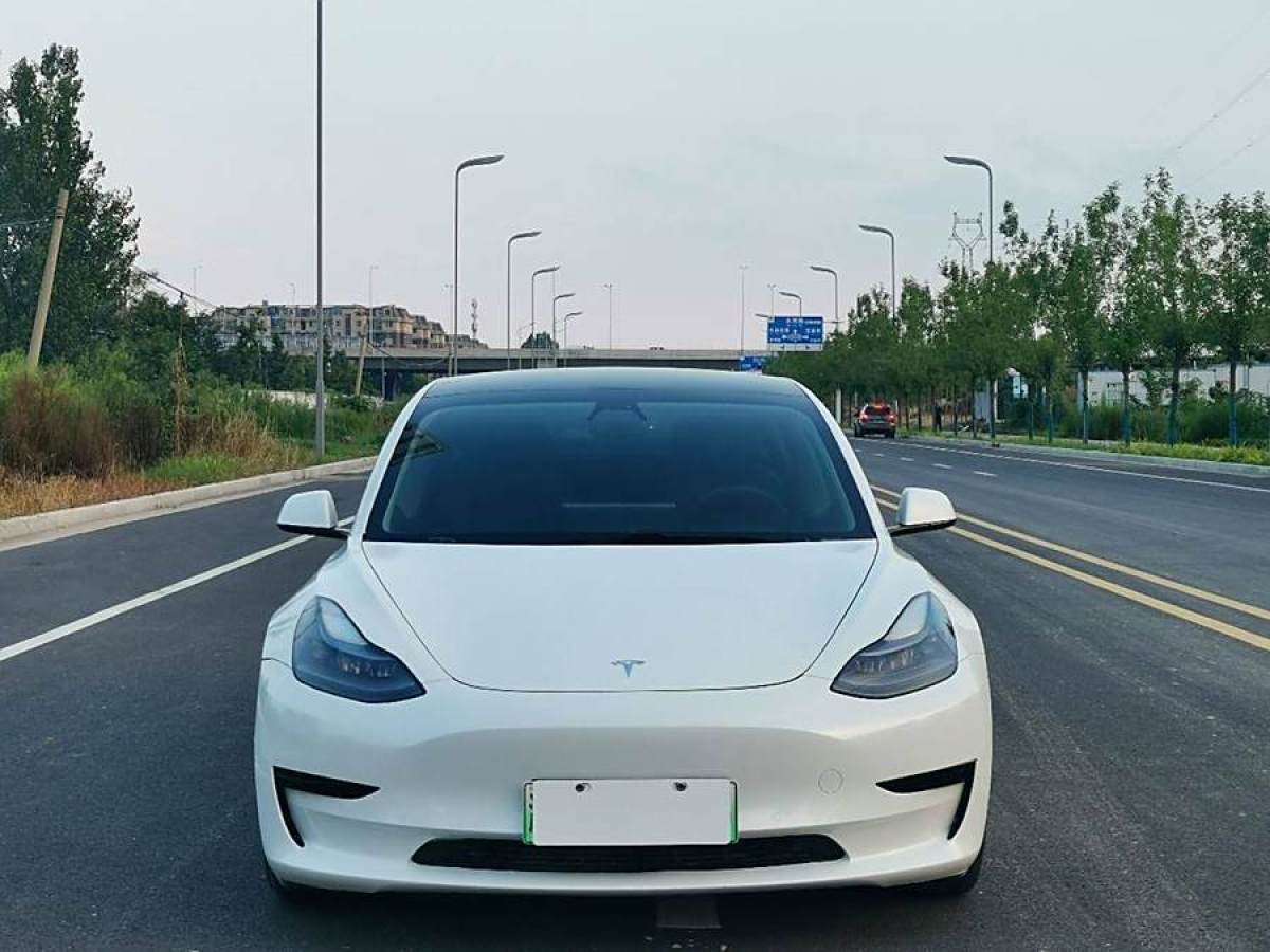 特斯拉 Model Y  2020款 改款 標準續(xù)航后驅升級版圖片