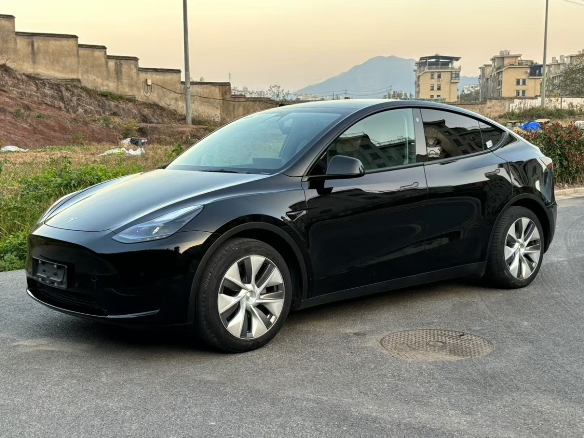 特斯拉 Model 3  2021款 標準續(xù)航后驅升級版 3D6圖片