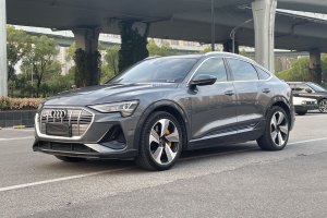 奥迪e-tron 奥迪 Sportback 55 quattro 臻选型