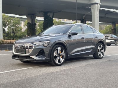 2021年5月 奧迪 奧迪e-tron(進(jìn)口) Sportback 55 quattro 臻選型圖片