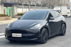 Model Y 特斯拉 改款 后輪驅(qū)動版