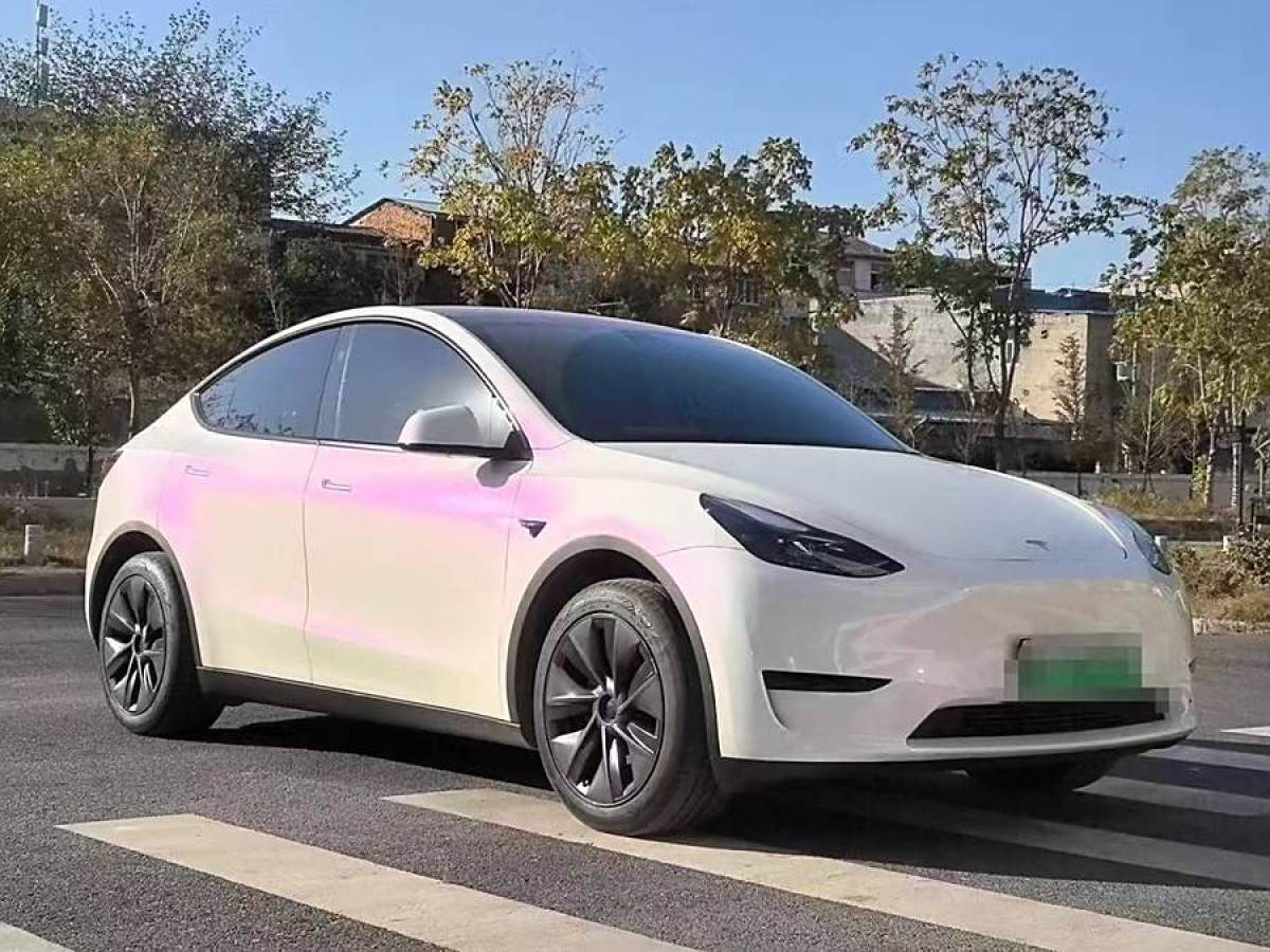 特斯拉 Model 3  2020款 改款 長續(xù)航后輪驅(qū)動(dòng)版圖片