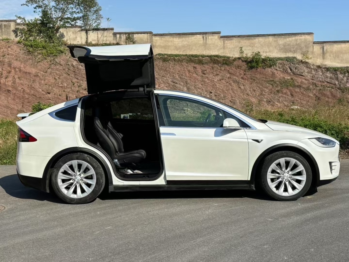 特斯拉 Model X  2016款 Model X 75D圖片