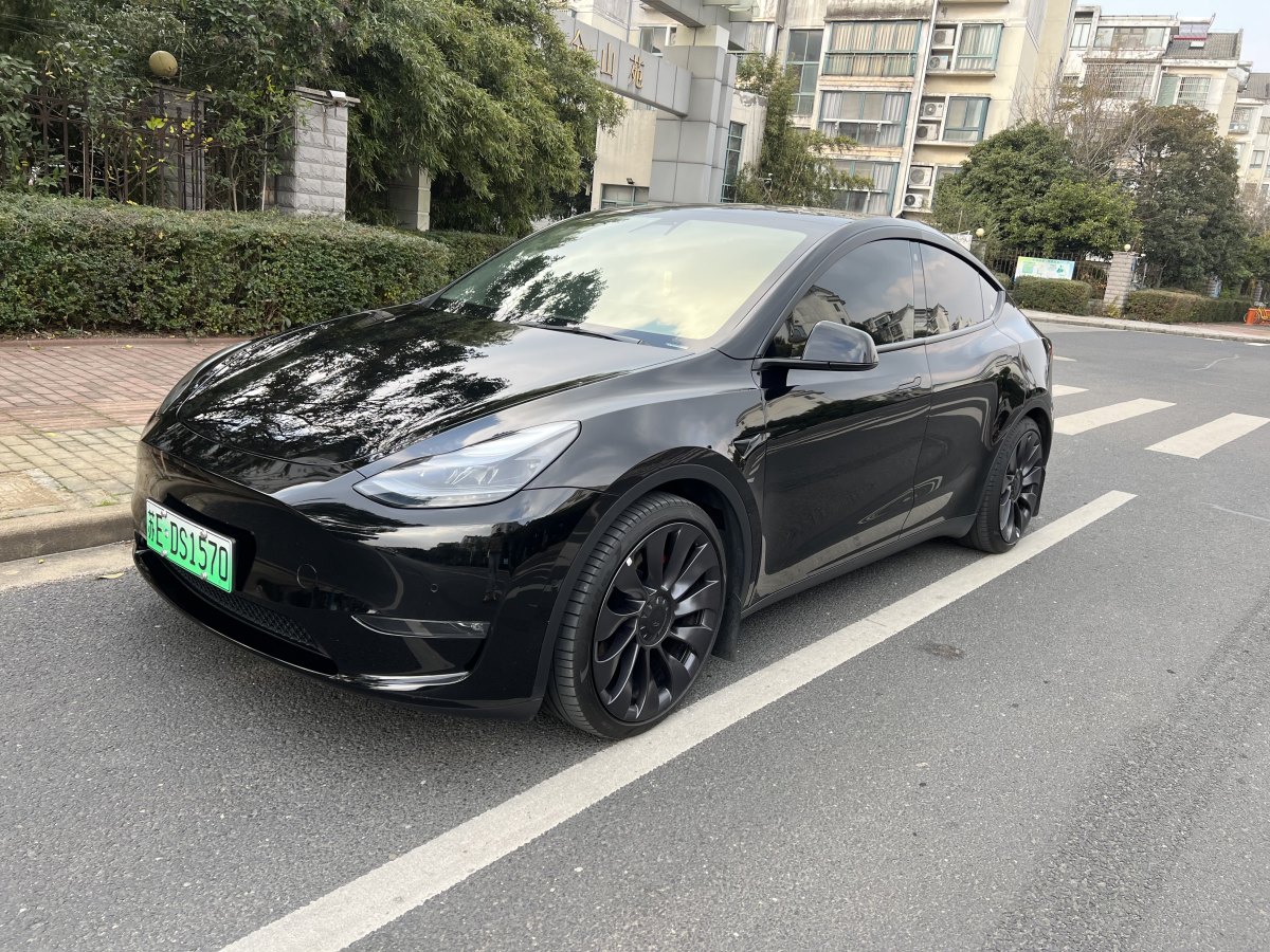 特斯拉 Model 3  2022款 Performance高性能全輪驅動版圖片