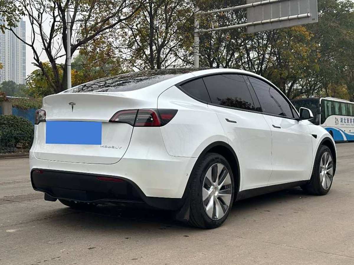 特斯拉 Model 3  2020款 改款 長續(xù)航后輪驅(qū)動版圖片