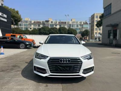 2019年1月 奧迪 奧迪A4(進(jìn)口) 45 TFSI allroad quattro 時尚型圖片