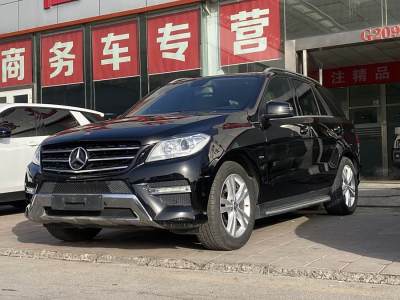 2012年6月 奔馳 奔馳M級(進口) ML 350 動感型圖片