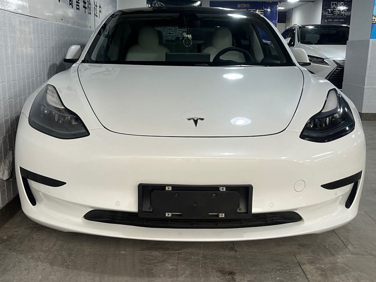 特斯拉 Model 3  2021款 改款 標(biāo)準(zhǔn)續(xù)航后驅(qū)升級版圖片