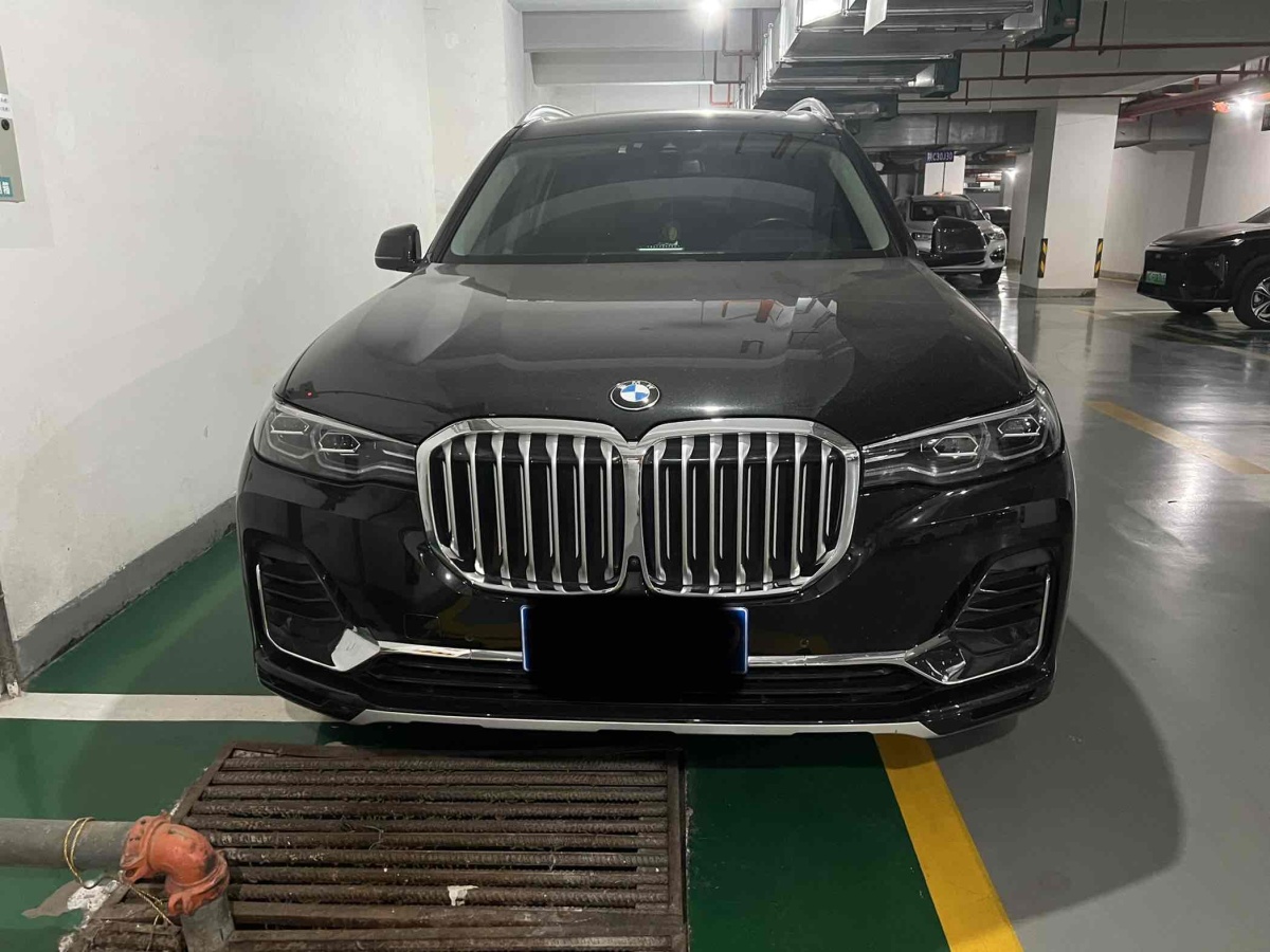 寶馬 寶馬X7  2021款 改款 xDrive40i 領(lǐng)先型豪華套裝圖片