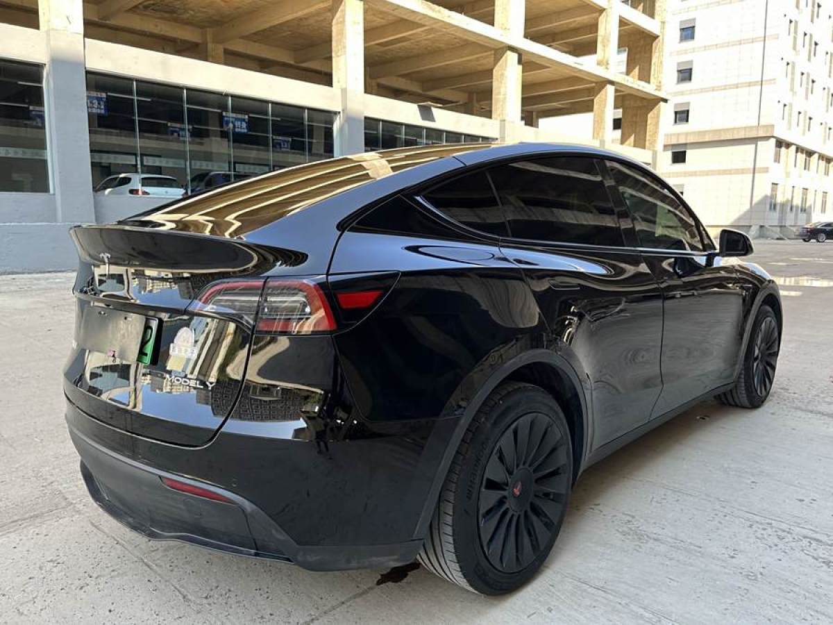 特斯拉 Model Y  2020款 改款 長(zhǎng)續(xù)航后輪驅(qū)動(dòng)版圖片