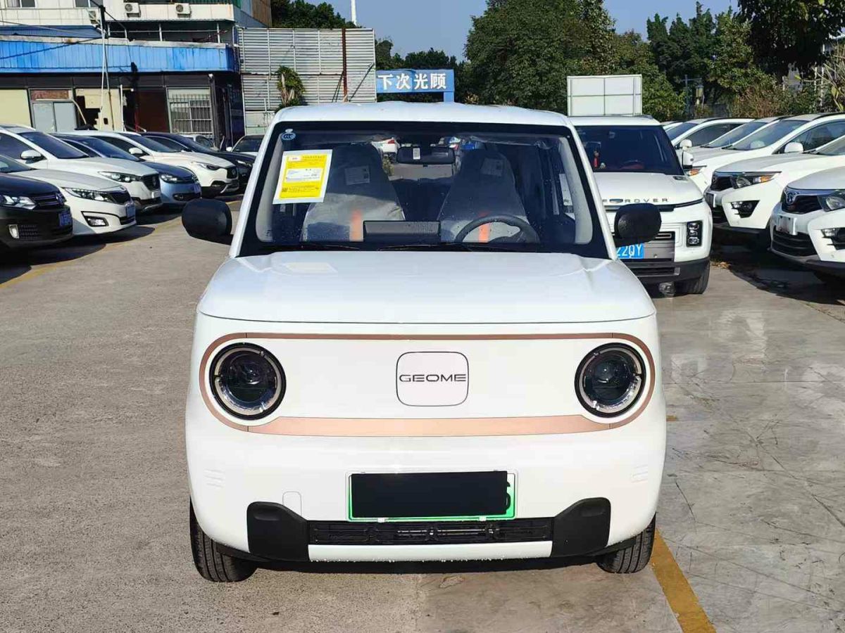 吉利 熊貓mini  2024款 200km 熊貓騎士圖片