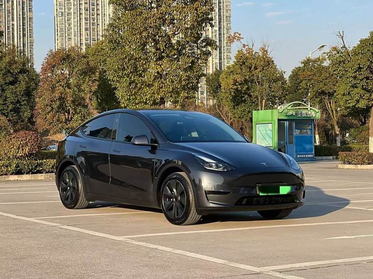 特斯拉 Model 3  2020款 改款 長(zhǎng)續(xù)航后輪驅(qū)動(dòng)版圖片