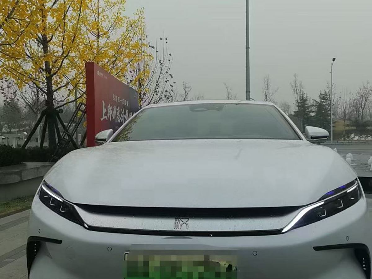 比亞迪 漢  2021款 EV 標(biāo)準(zhǔn)續(xù)航版豪華型圖片