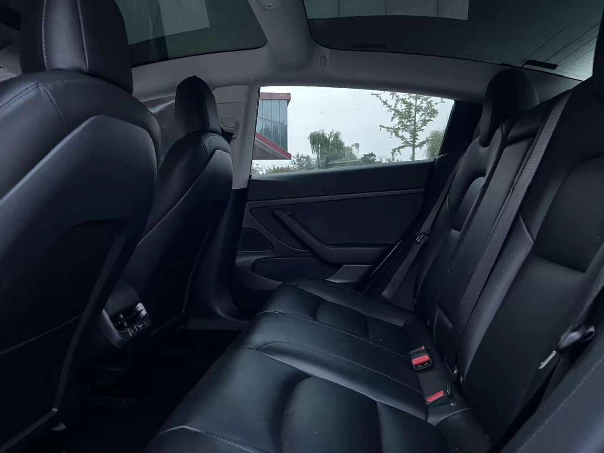 特斯拉 Model Y  2020款 標準續(xù)航后驅(qū)升級版圖片