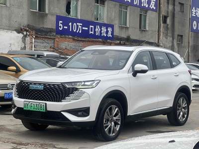 2022年10月 哈弗 哈弗H6新能源 DHT-PHEV 110KM 暢行版圖片