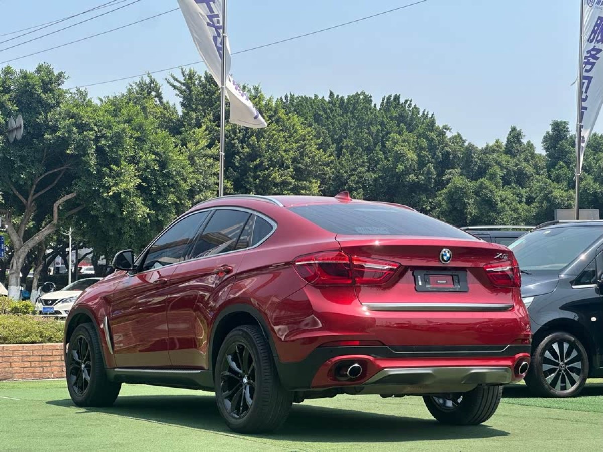 寶馬 寶馬X6  2017款 xDrive35i 領(lǐng)先型圖片