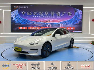 2021年3月 特斯拉 Model 3 標(biāo)準(zhǔn)續(xù)航后驅(qū)升級(jí)版圖片