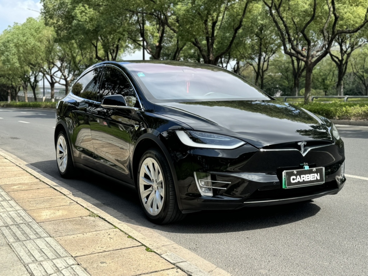 特斯拉 Model X  2016款 Model X P100D Performance高性能版圖片