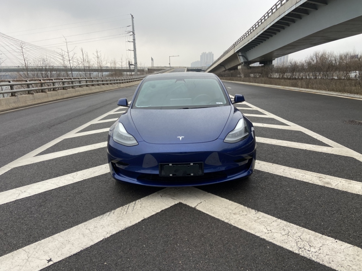 2021年01月特斯拉 Model 3  2019款 標(biāo)準(zhǔn)續(xù)航后驅(qū)升級(jí)版