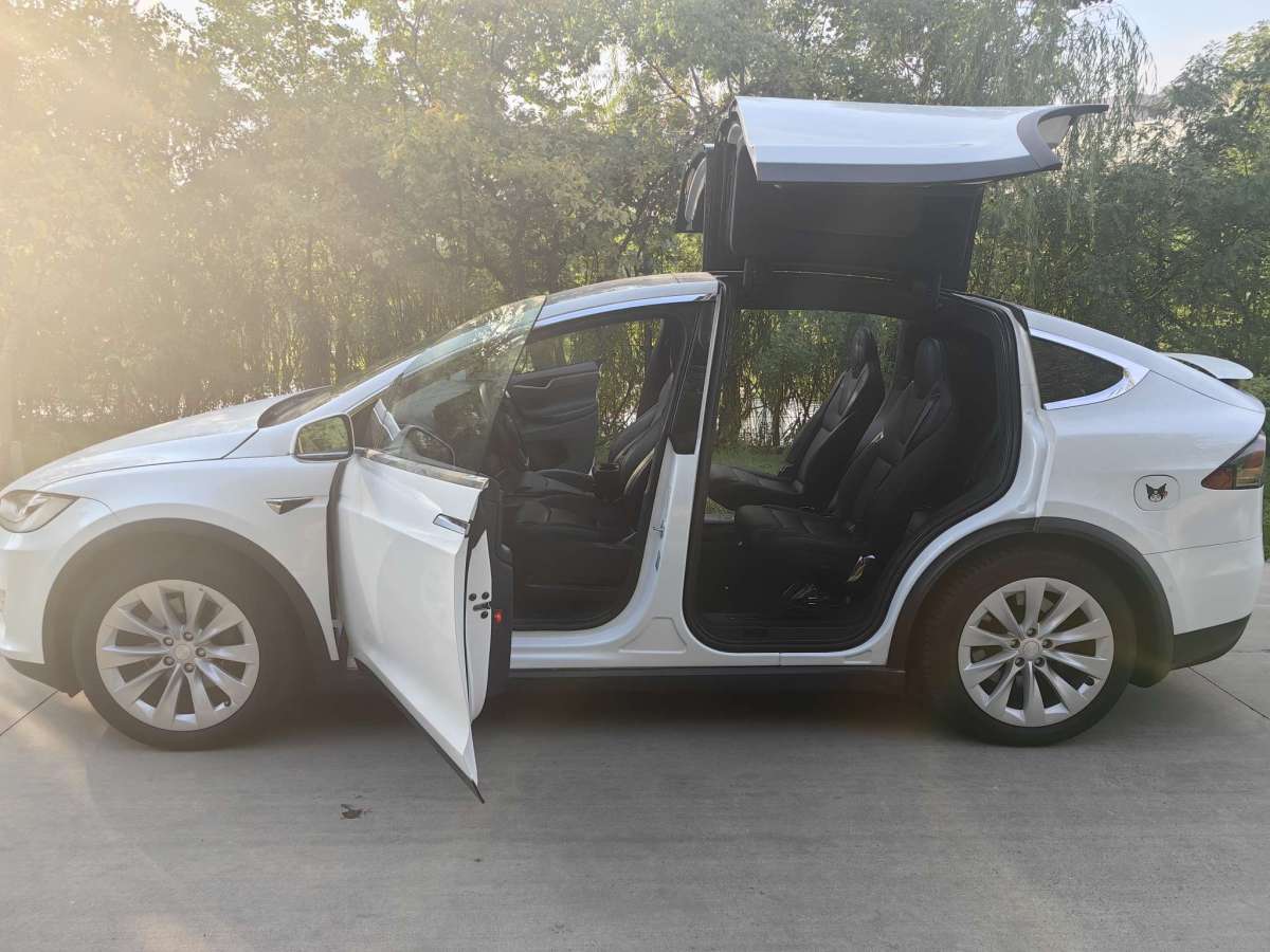 特斯拉 Model X  2021款 長(zhǎng)續(xù)航升級(jí)版圖片