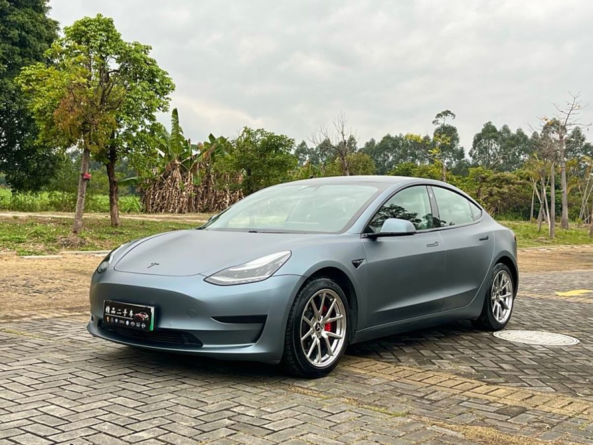 2020年12月特斯拉 Model 3  2020款 改款 標(biāo)準(zhǔn)續(xù)航后驅(qū)升級(jí)版