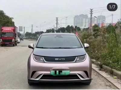 2022年10月 开瑞 海豚EV 智享型图片