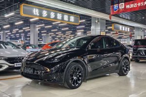 Model Y 特斯拉 改款 后輪驅(qū)動(dòng)版