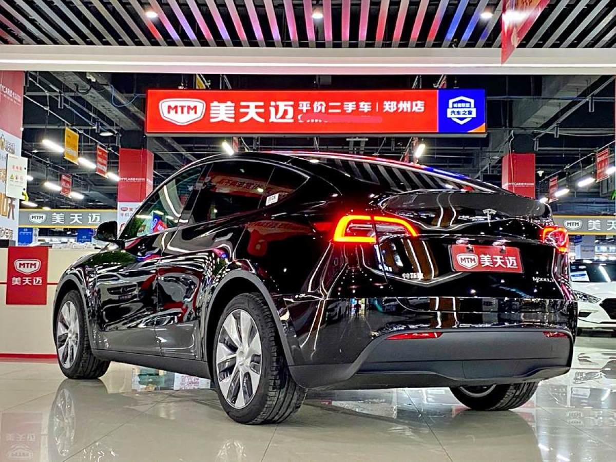 特斯拉 Model 3  2020款 改款 長續(xù)航后輪驅(qū)動版圖片