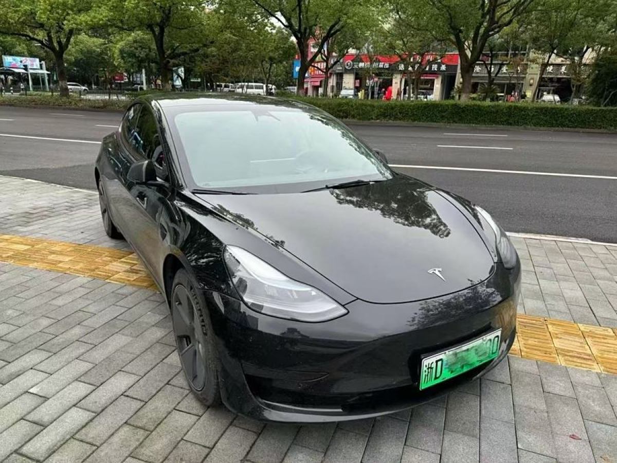 2020年3月特斯拉 Model 3  2019款 標(biāo)準續(xù)航后驅(qū)升級版