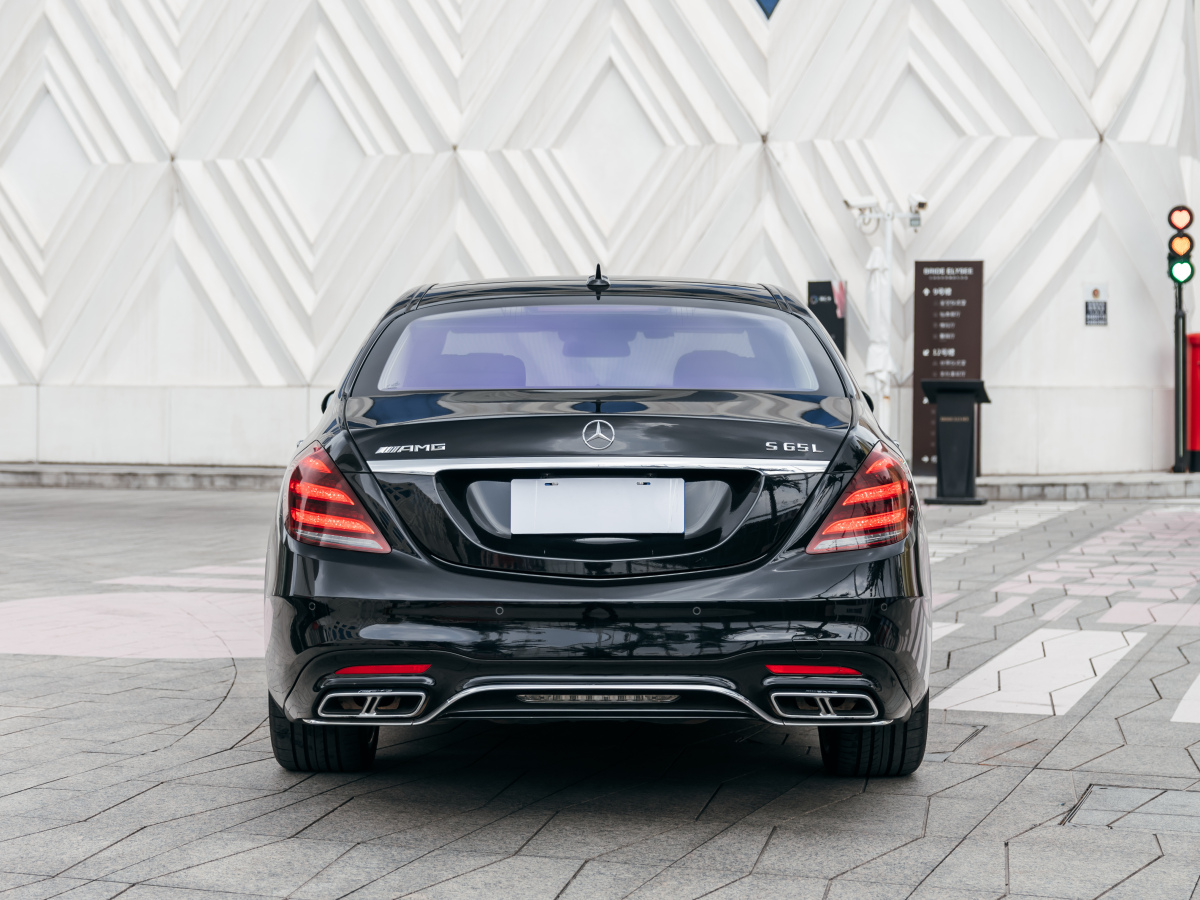 奔驰 奔驰S级AMG  2014款 AMG S 65 L图片