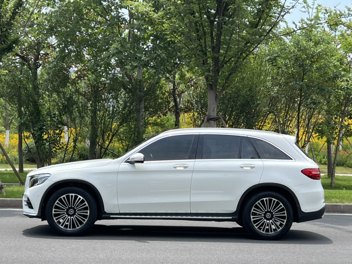 奔馳 奔馳GLC  2019款 GLC 260 4MATIC 動感型圖片