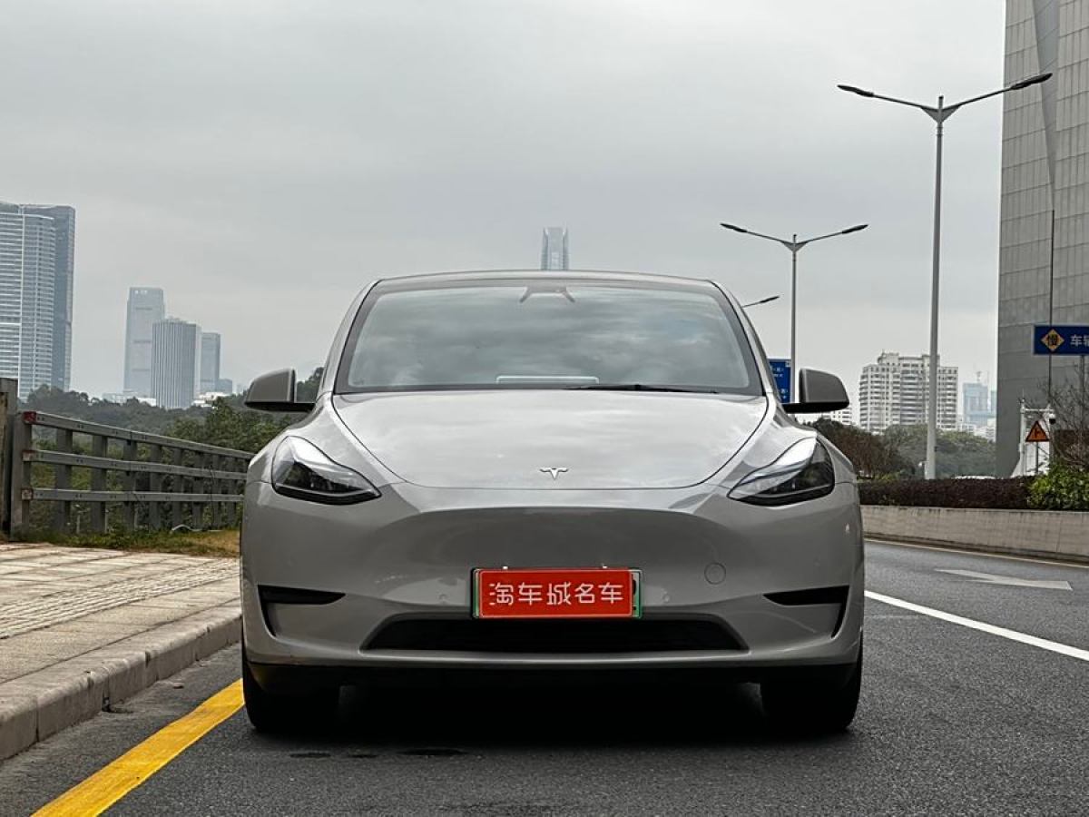 特斯拉 Model 3  2022款 后輪驅(qū)動版圖片