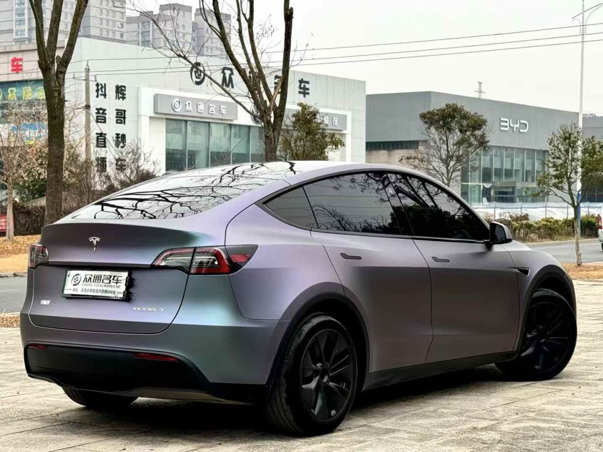 特斯拉 Model Y  2024款 Performance高性能版圖片