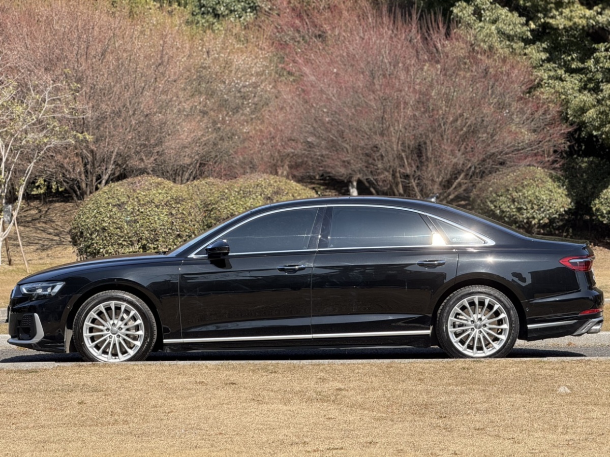 2019年1月奧迪 奧迪A8  2018款 A8L 55 TFSI quattro投放版尊享型