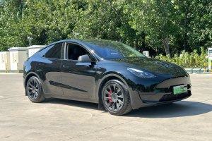 Model Y 特斯拉 后轮驱动版