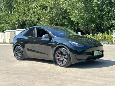 2022年3月 特斯拉 Model Y 后轮驱动版图片