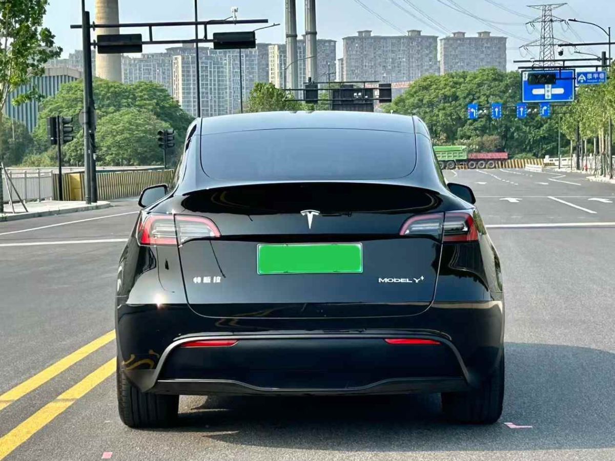 特斯拉 Model Y  2024款 Performance高性能版圖片
