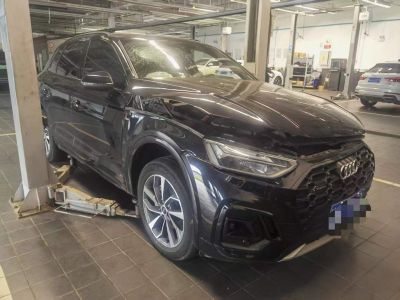 2023年1月 奧迪 奧迪Q5 e-tron 40 e-tron 星耀型 影武士版圖片