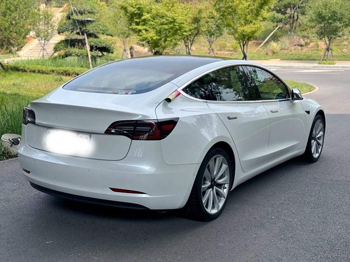 特斯拉 Model 3  2019款 长续航后驱版图片