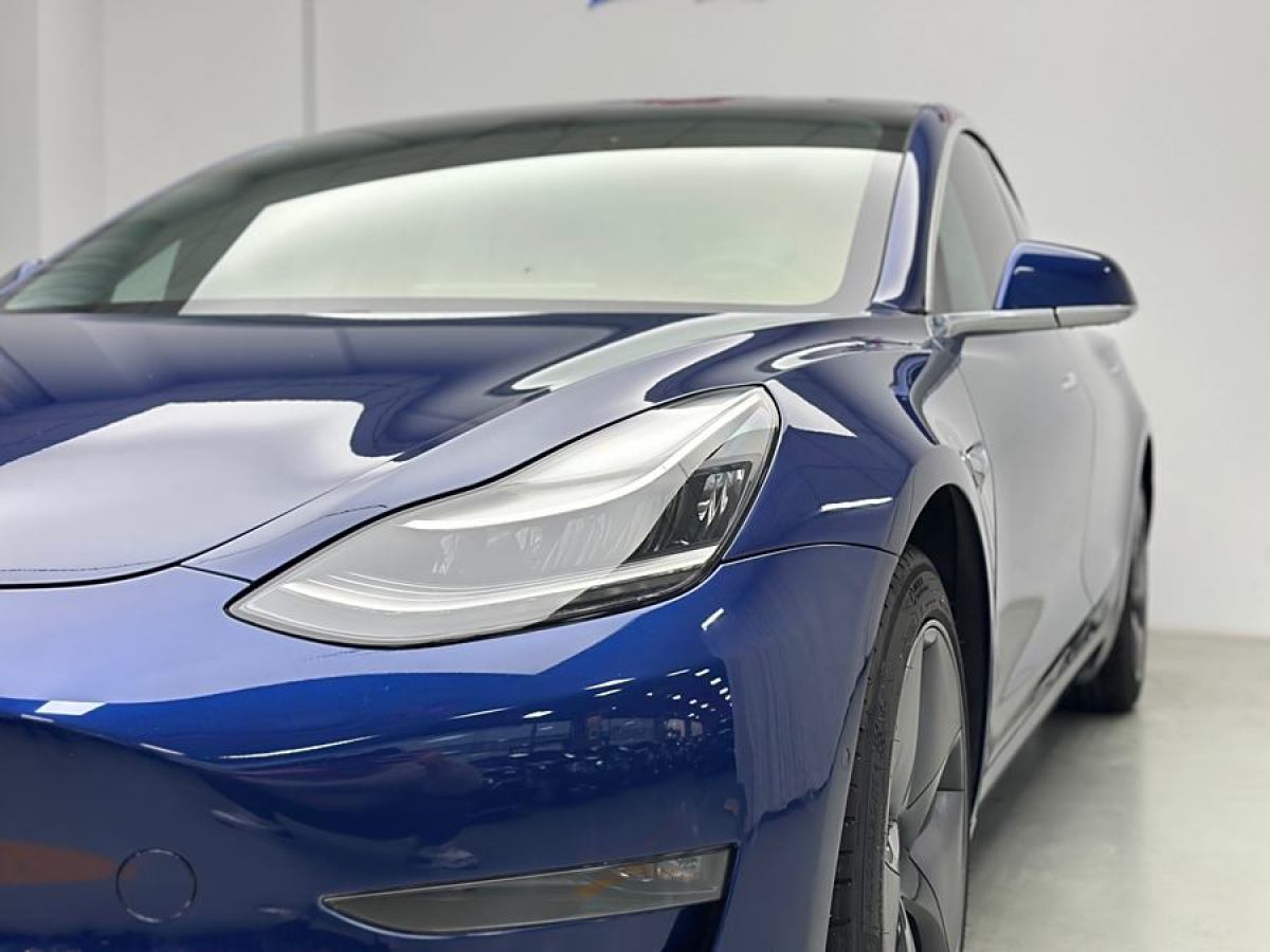 特斯拉 Model 3  2019款 長續(xù)航全輪驅(qū)動版圖片