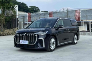 梦想家 岚图 PHEV 超长续航尊贵版