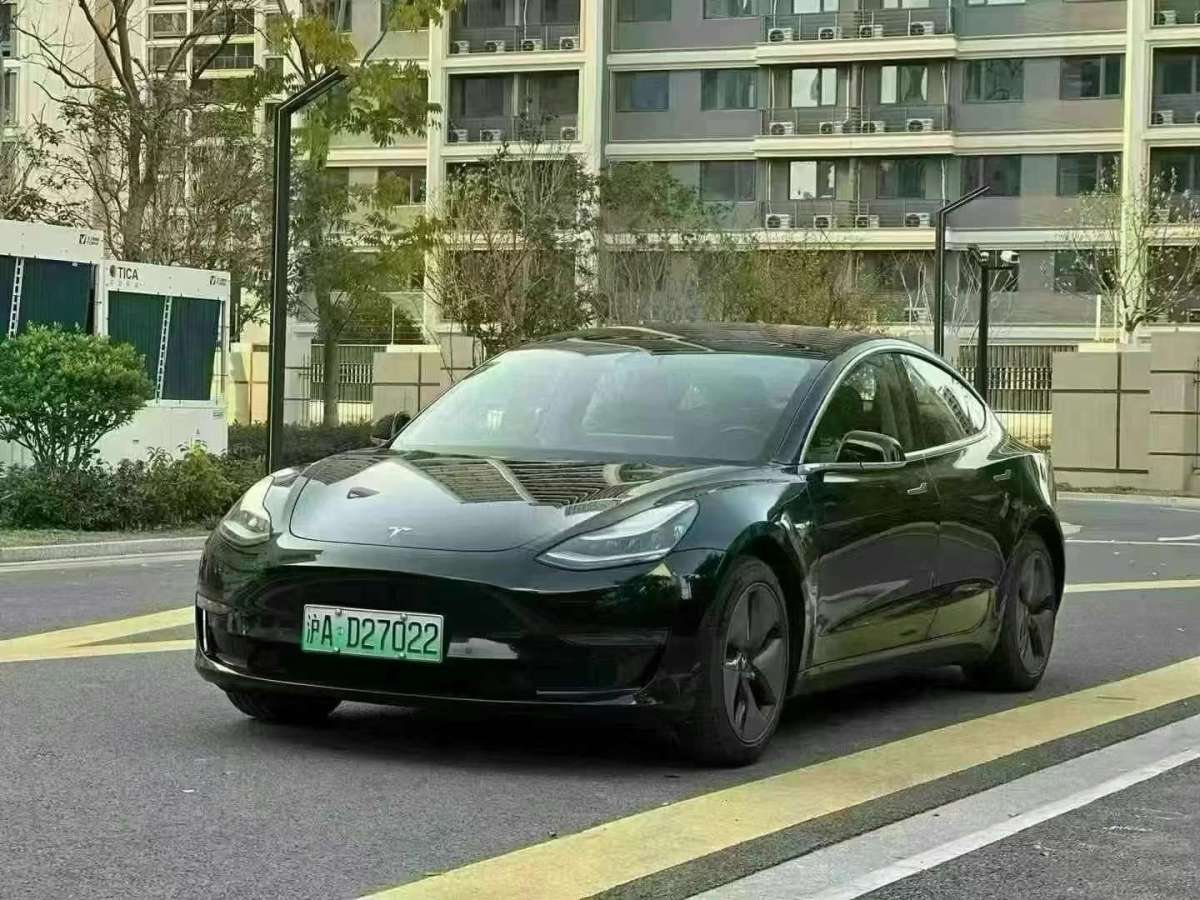 特斯拉 Model 3  2019款 長續(xù)航后驅(qū)版圖片