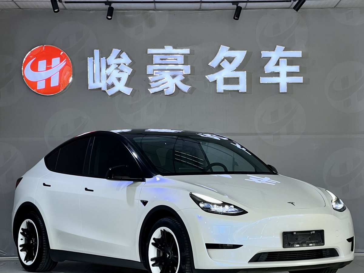 特斯拉 Model Y  2021款 改款 標準續(xù)航后驅(qū)升級版圖片